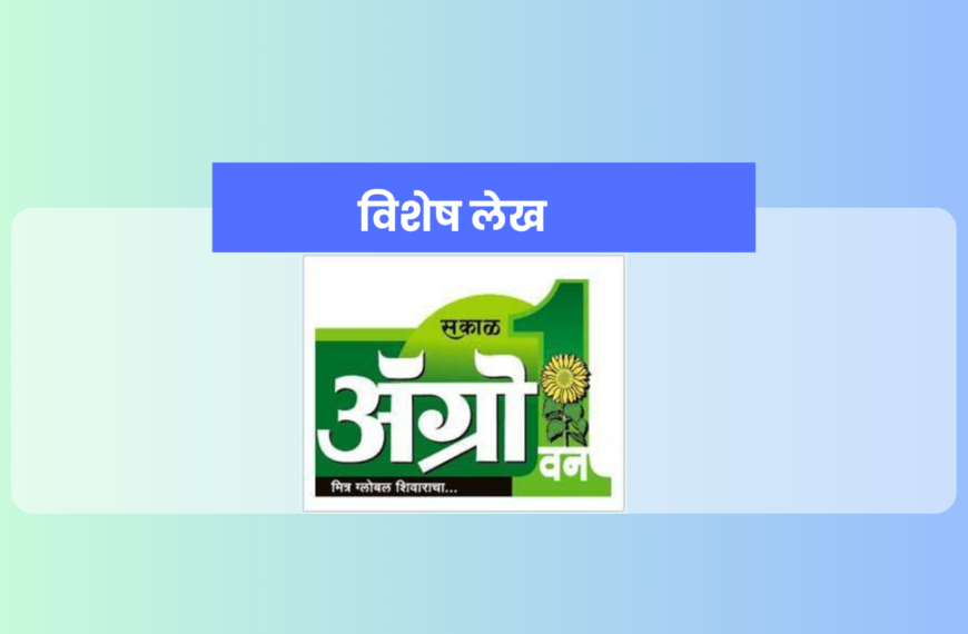 Smart Village : दै.एग्रोवन